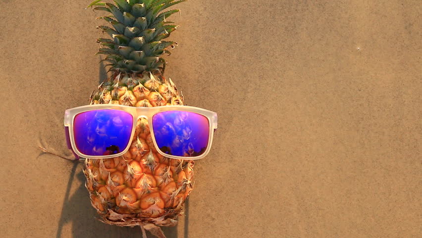 top best sunglasses